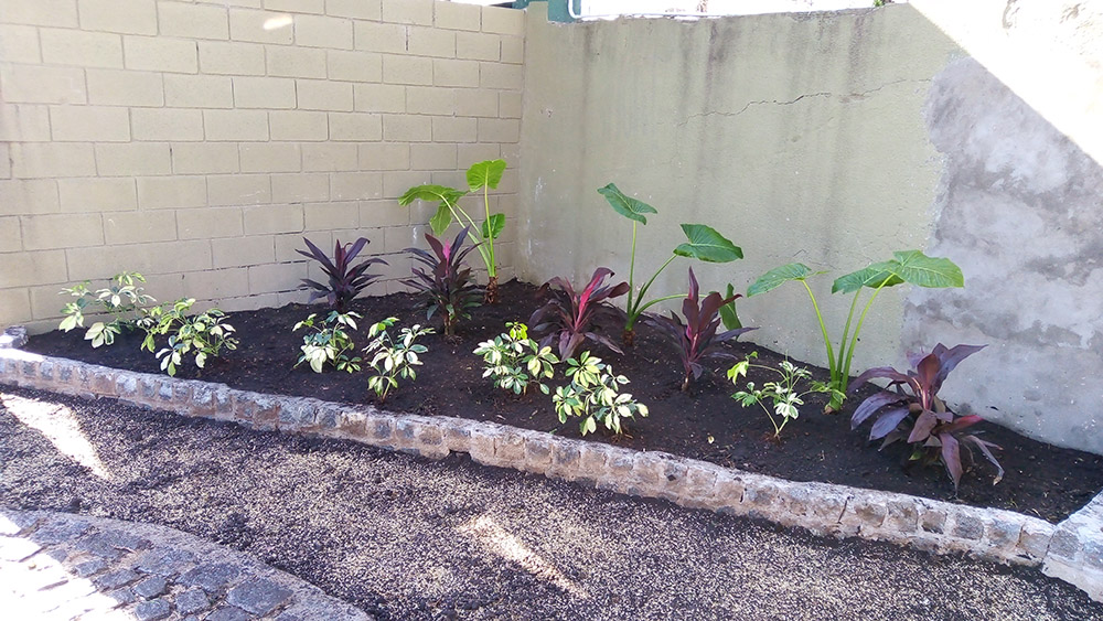 Jardín Urbano - Imágen de gelería